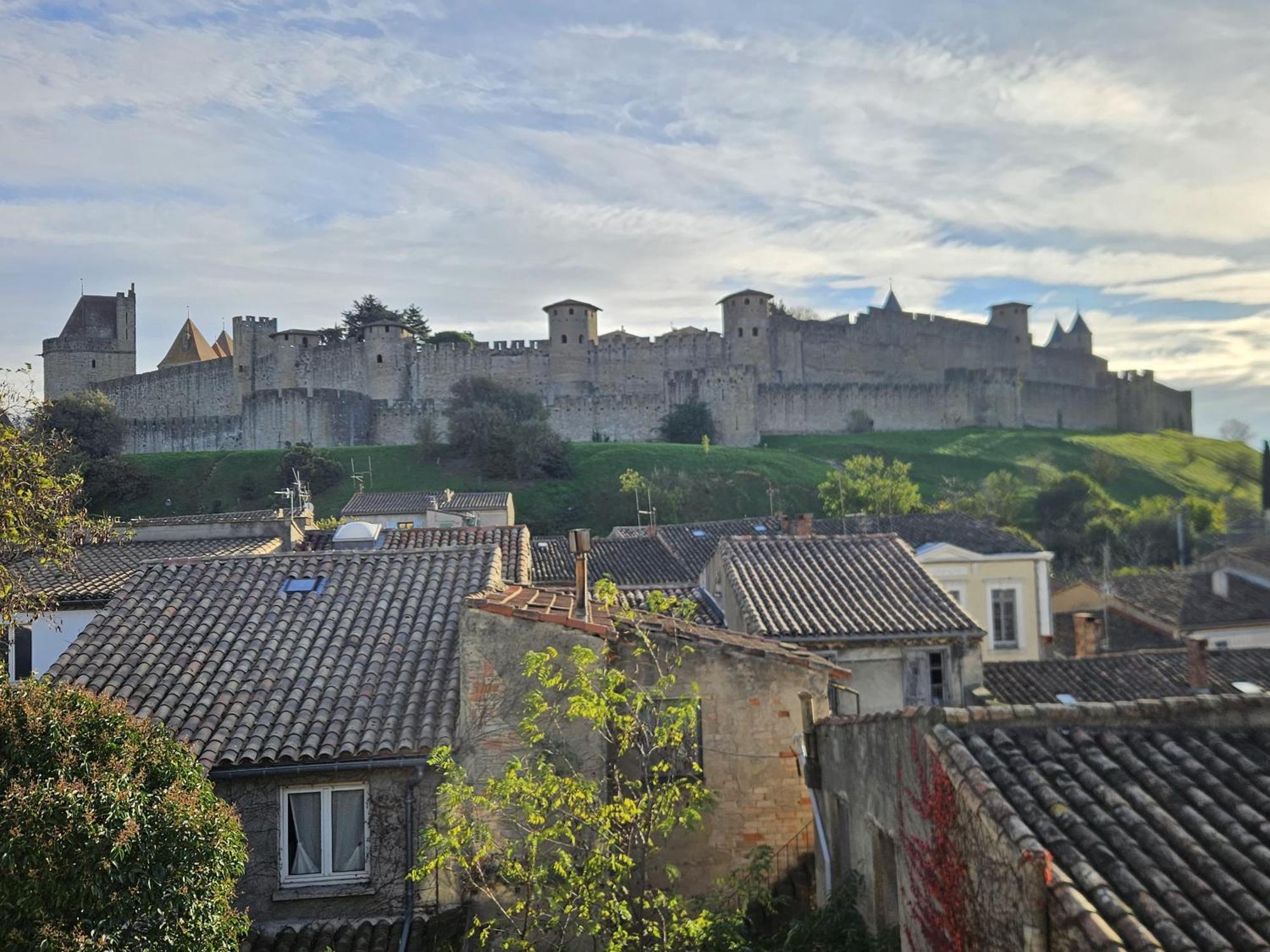 Vue Cite Medievale Castel View Carcassonne Esterno foto